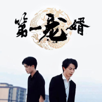 第一龙婿封面