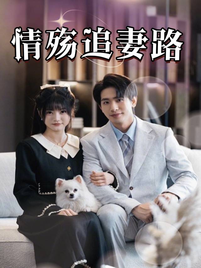 情殇追妻路封面