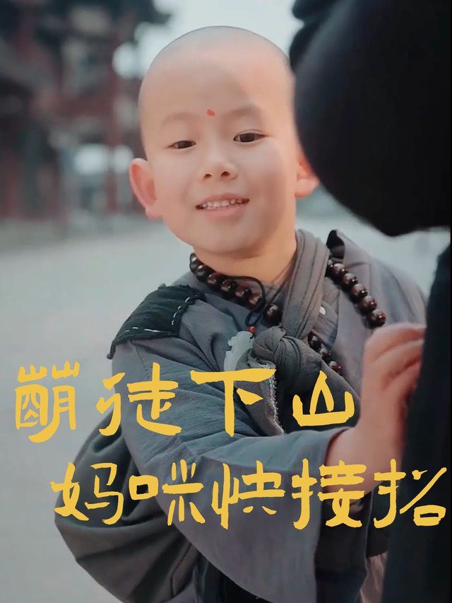 萌徒下山,妈咪快接招封面