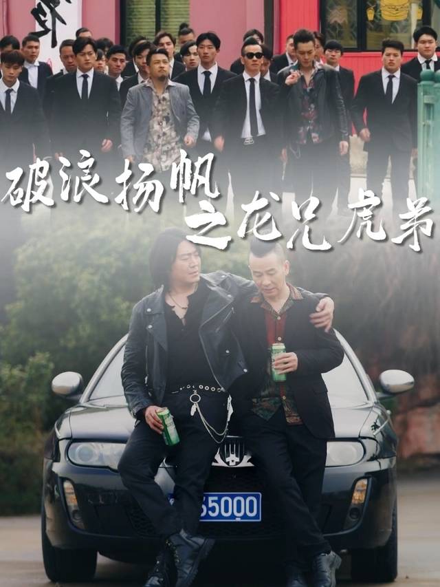 破浪扬帆之龙兄虎弟封面