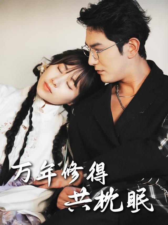 万年修得共枕眠封面