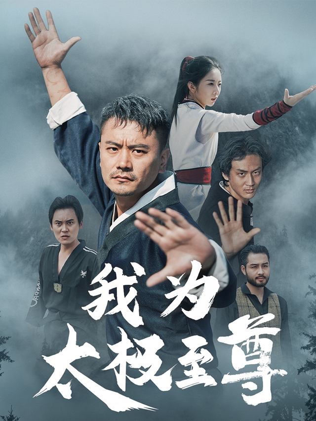 我为太极至尊封面