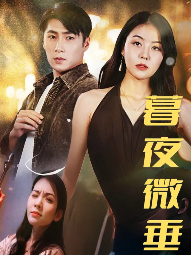 暮夜微垂封面