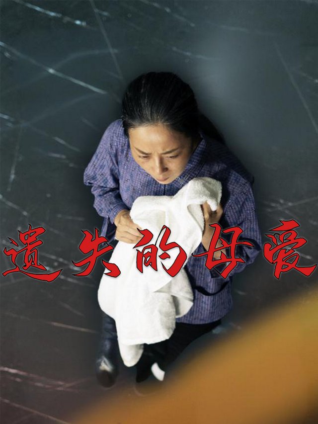 遗失的母爱封面