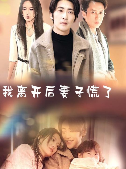 我离开后妻子慌了封面