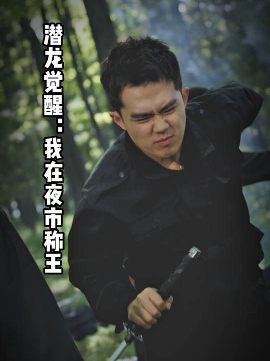 潜龙觉醒:我在夜市称王封面