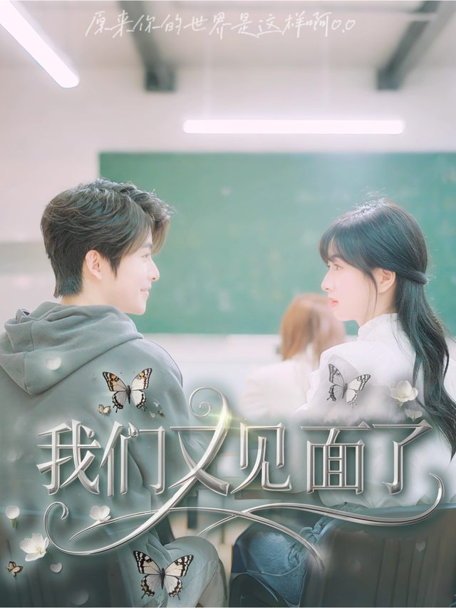 我们又见面了封面