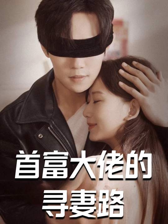首富大佬的寻妻路封面