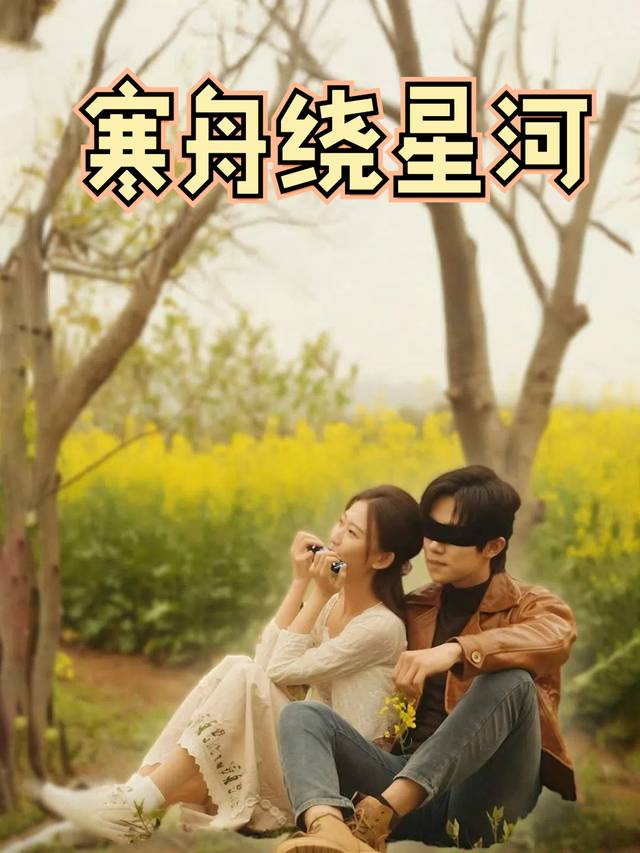 寒舟绕星河封面