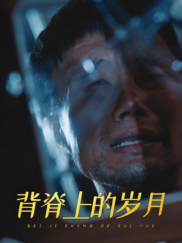 背脊上的岁月封面