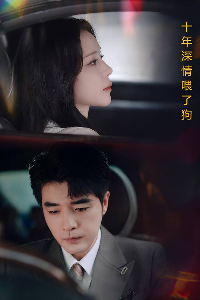 十年深情喂了狗封面