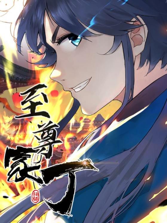 至尊家丁封面