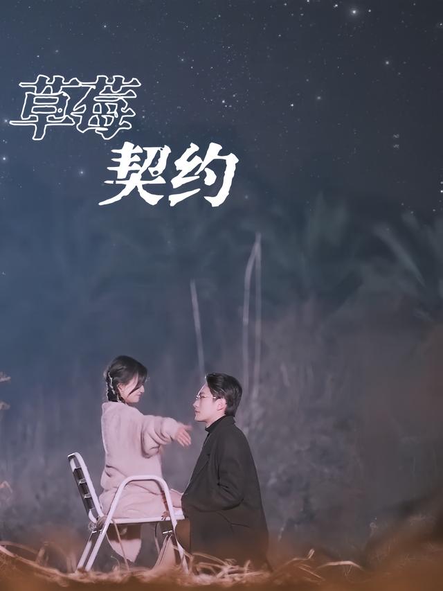 草莓契约封面