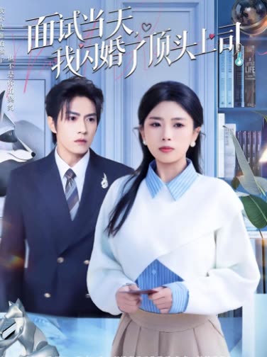 面试当天,我闪婚了顶头上司封面