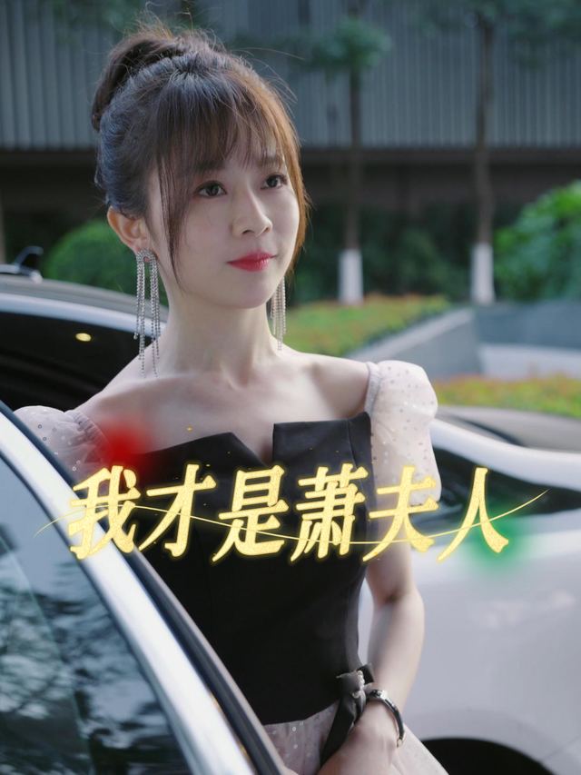 我才是萧夫人封面