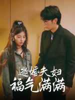 逃婚夫妇福气满满封面