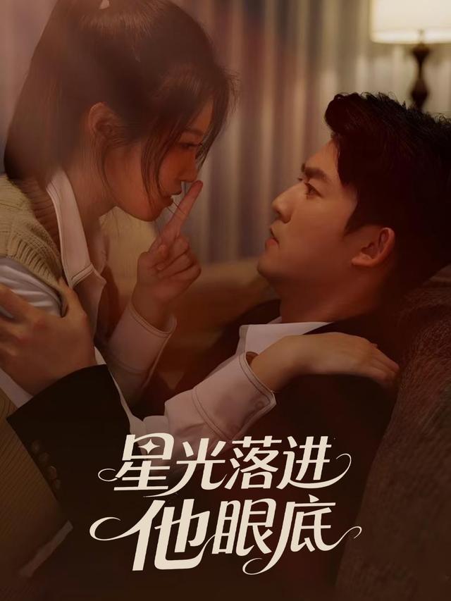 星光落进他眼底封面