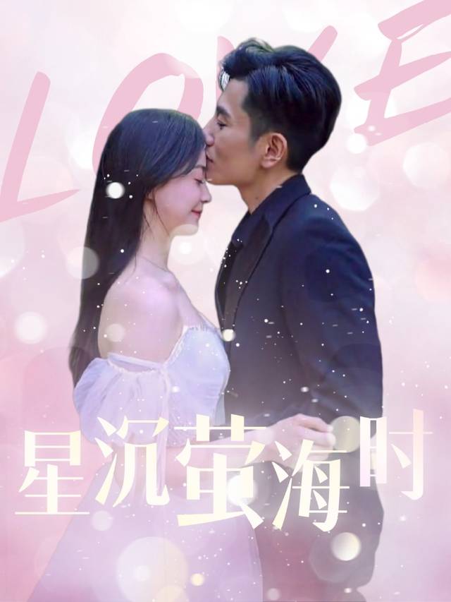 星沉萤海时封面