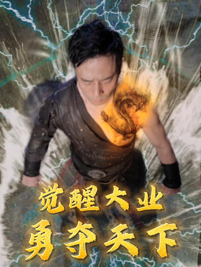 觉醒大业勇夺天下封面