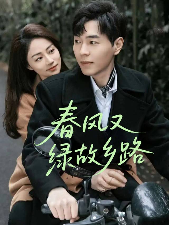 春风又绿故乡路封面