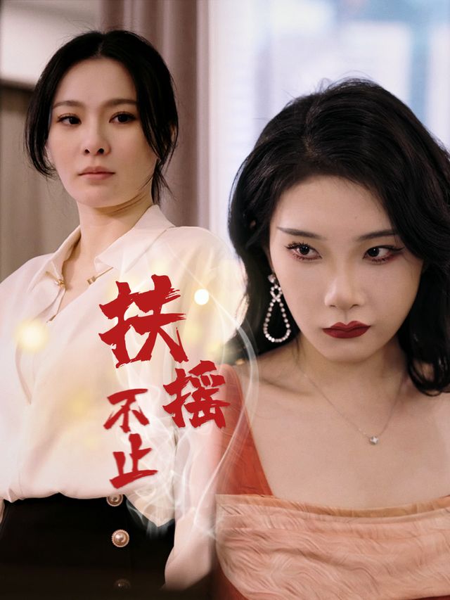 扶摇不止封面