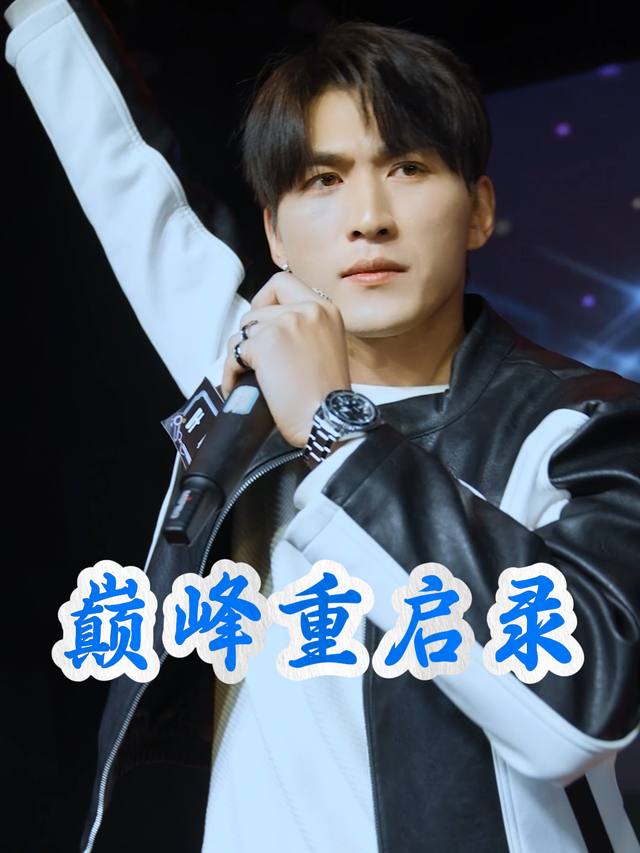 巅峰重启录封面