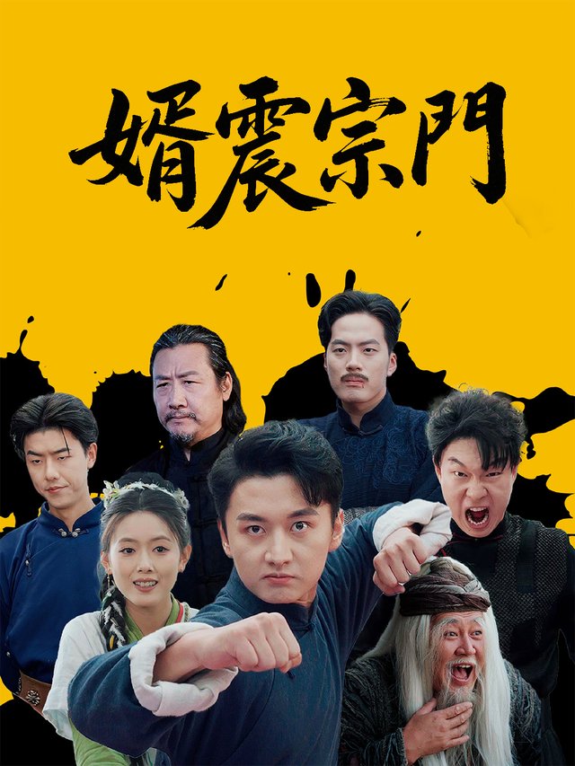 婿震宗门封面
