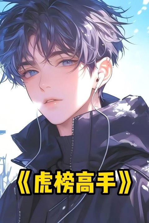 虎榜高手封面