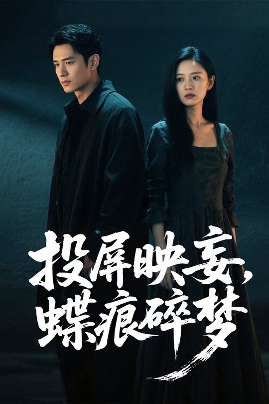 投屏映妄,蝶痕碎梦封面