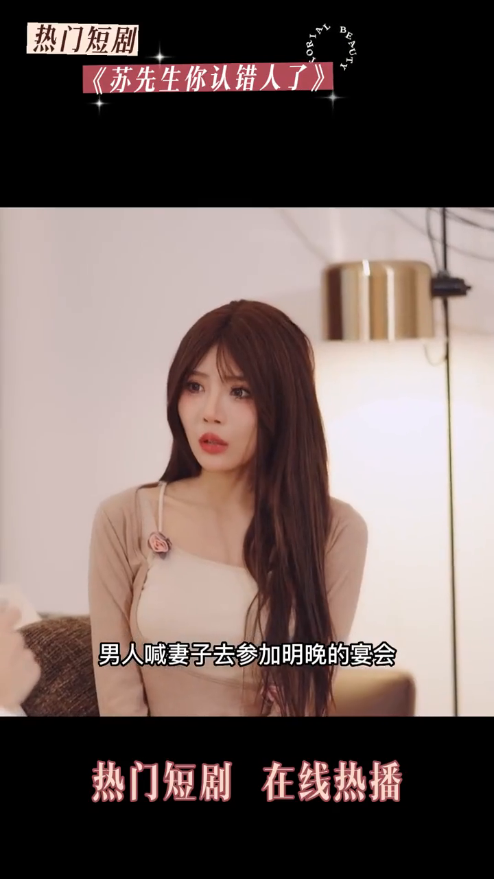 苏先生你认错人了封面