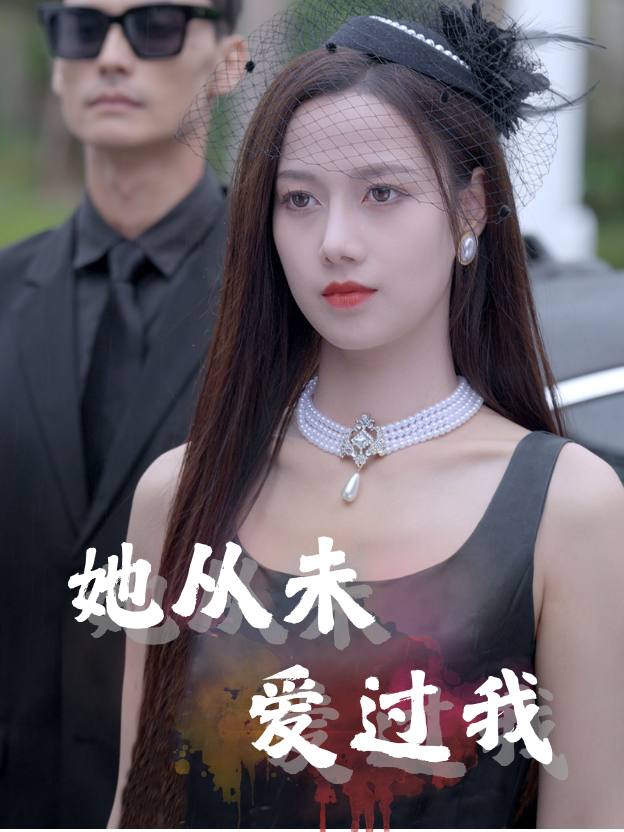 她从未爱过我封面