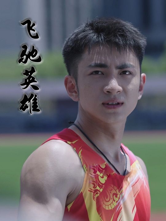 飞驰英雄封面