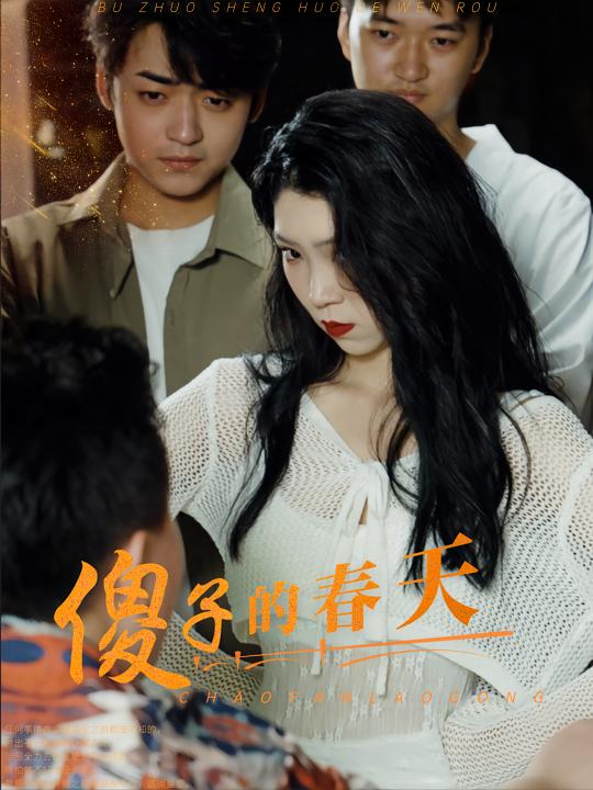 傻子的春天封面