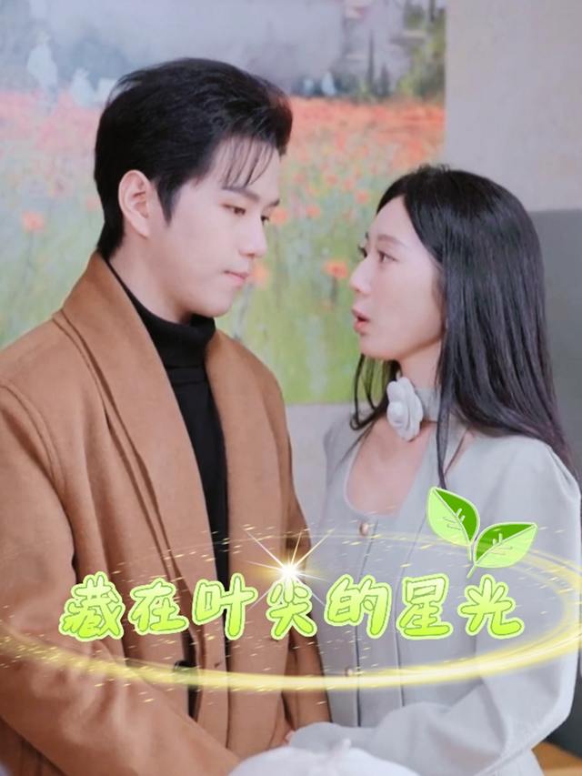 藏在叶尖的星光封面