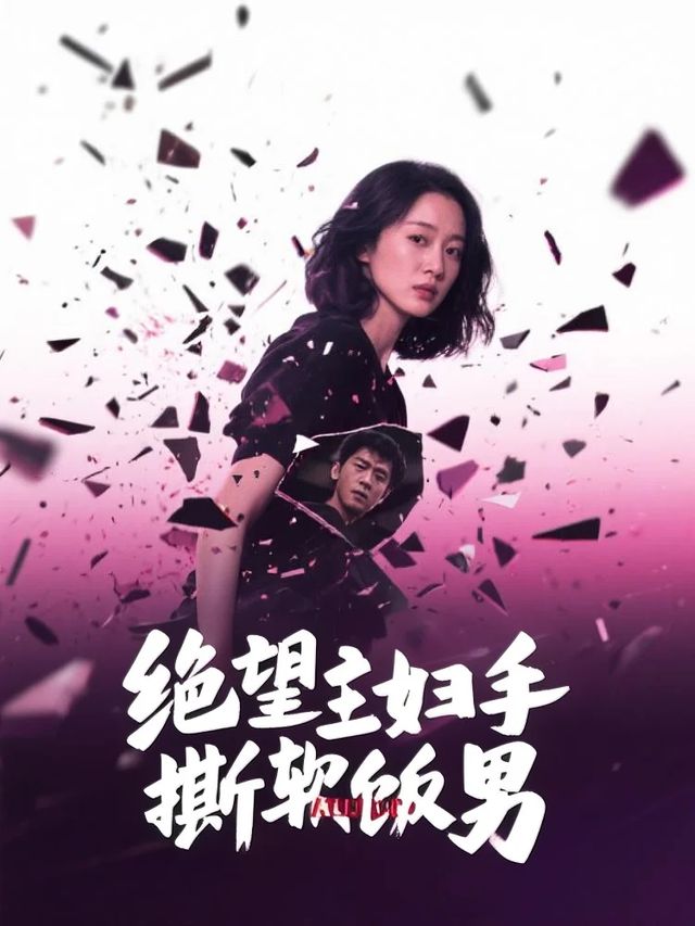 绝望主妇手撕软饭男封面