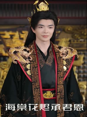 海棠花烬承君恩封面