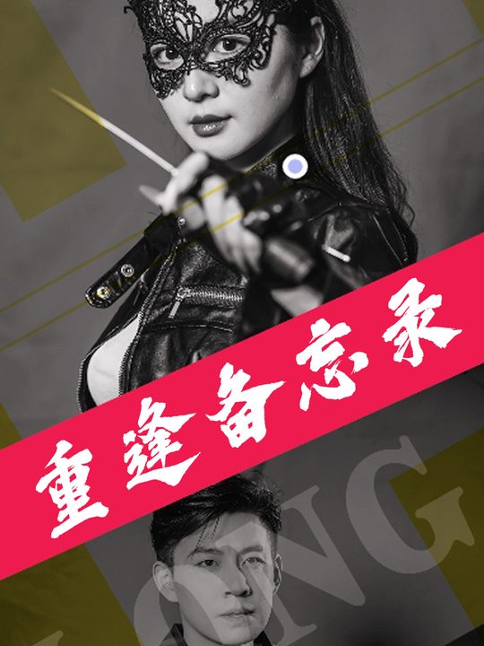 重逢备忘录封面