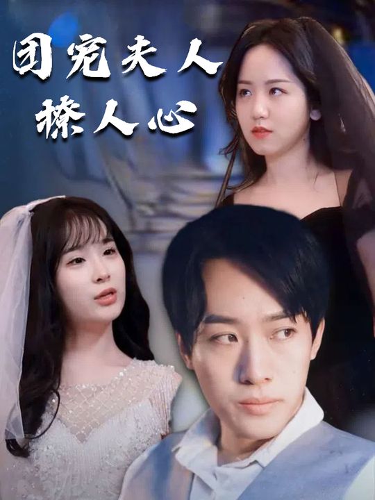 团宠夫人撩人心封面