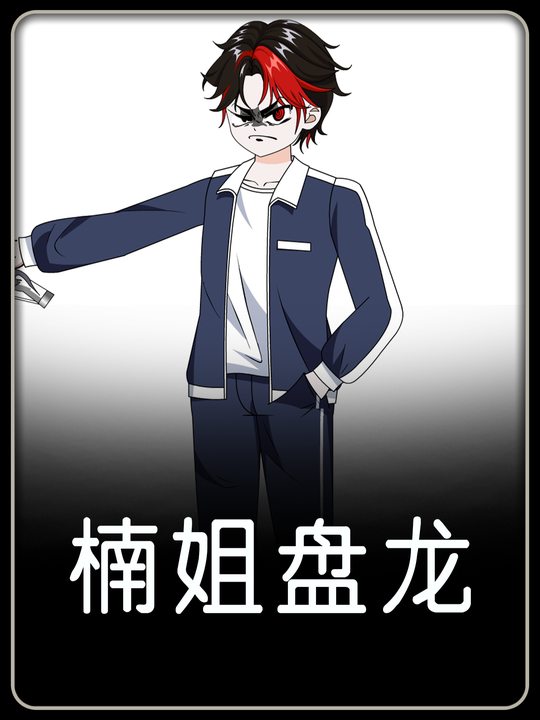楠姐盘龙封面