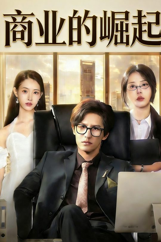 商业的崛起封面