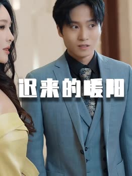 迟来的暖阳封面