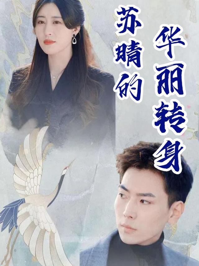 苏晴的华丽转身封面