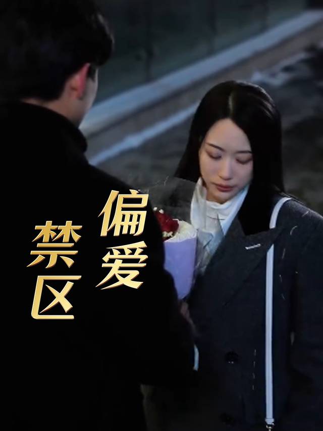 偏爱禁区封面