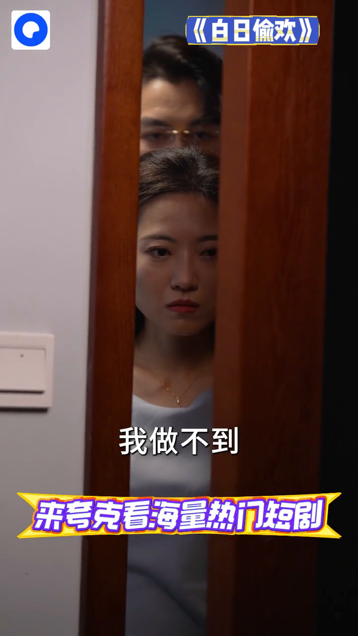 白日偷欢封面
