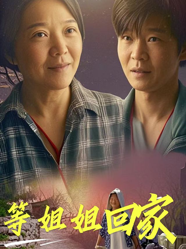 等姐姐回家封面