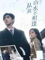 从此山水不相逢-美光封面