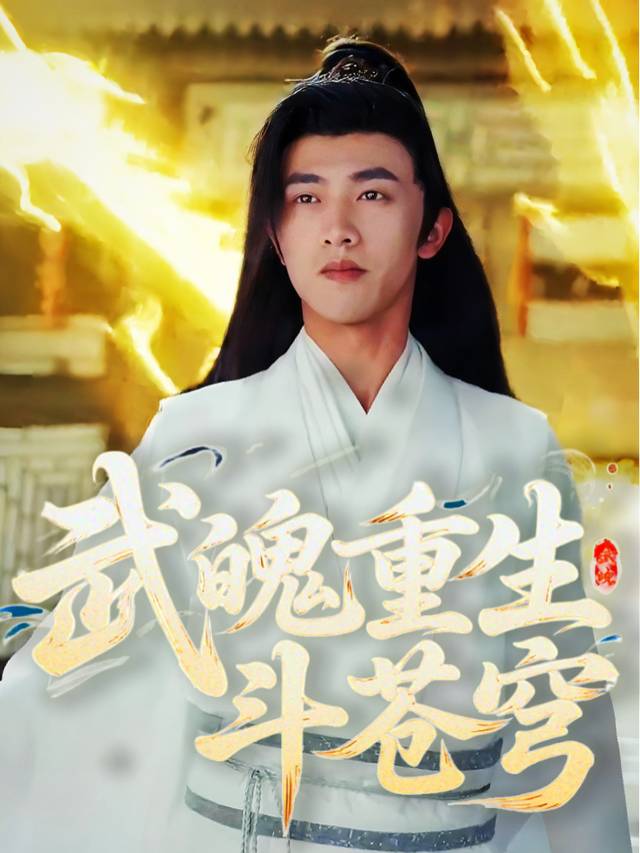 武魄重生斗苍穹封面