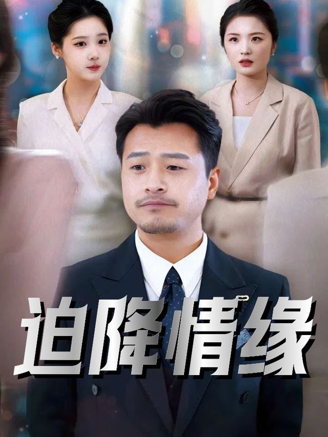 迫降情缘封面