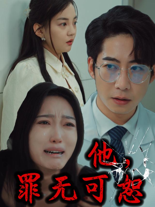 他,罪无可恕封面