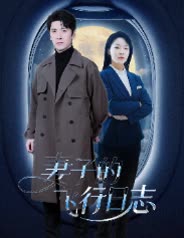 妻子的飞行日志封面
